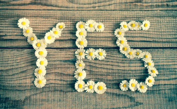 Oui écrit avec des marguerites sur fond en bois — Photo