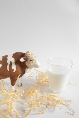 inek ve çiftlik süt