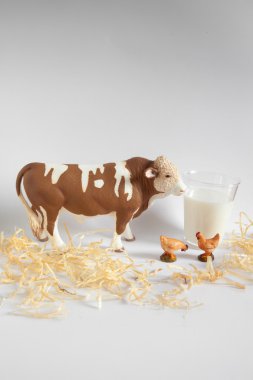 doğal gıda çiftlik