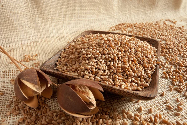 Wheat as natural food, country atmosphere — Stock Photo, Image