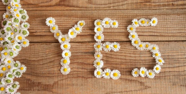 Oui écrit avec des marguerites sur fond en bois — Photo