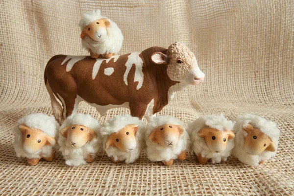 Sete ovelhas bonitos e uma vaca jogando juntos na fazenda, estilo country — Fotografia de Stock