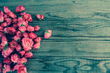 ahşap zemin, vintage denim etkisi üzerine kırmızı gül