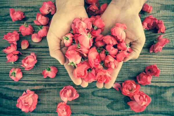 Dos manos entre rosas rojas sobre una mesa de madera, efecto vintage — Foto de Stock