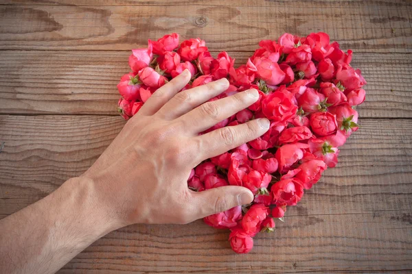 Coração feito de rosas vermelhas em fundo de madeira, coberto por uma mão — Fotografia de Stock