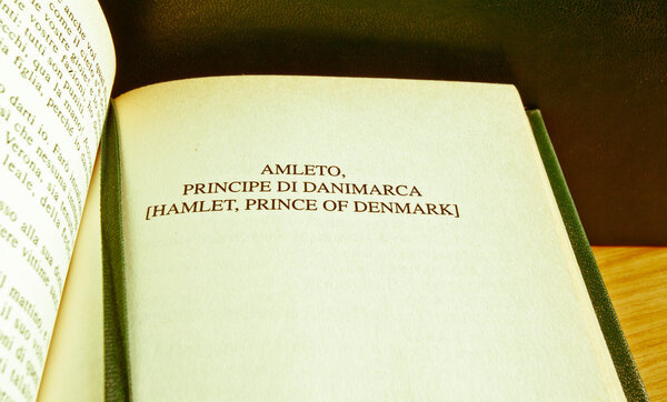 William Shakespeare literature: Hamlet, prince of Denmark