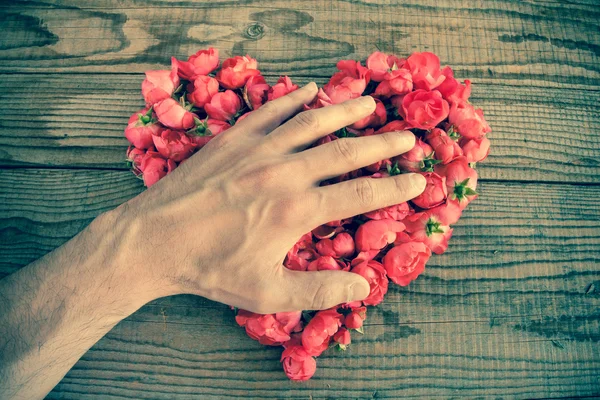 Corazón hecho de rosas rojas en fondo de madera, cubierto por una mano — Foto de Stock