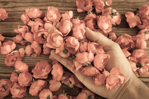 Ruku mezi červené růže na dřevěný stůl, vintage efekt — Stock fotografie
