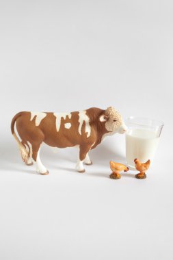 Çiftlik hayvanları