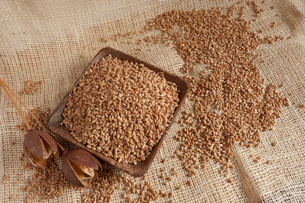 Wheat as natural food — Stock Photo, Image