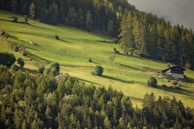 Onun yeşil çayır ile Alp bir alm. Alpler'de bir geç sonbahar gün ikindi oldu.