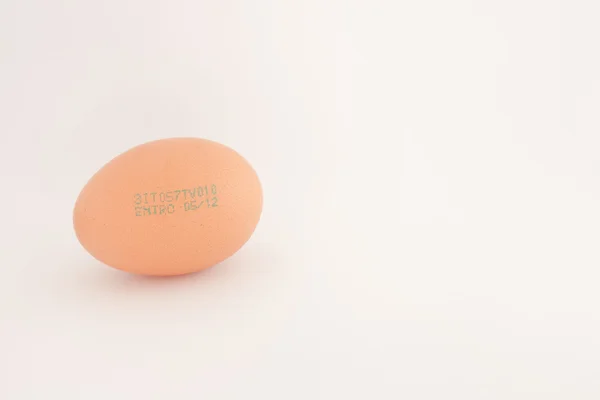 geçilmek Tarih hafif pembe bir atmosfer ile yumurta