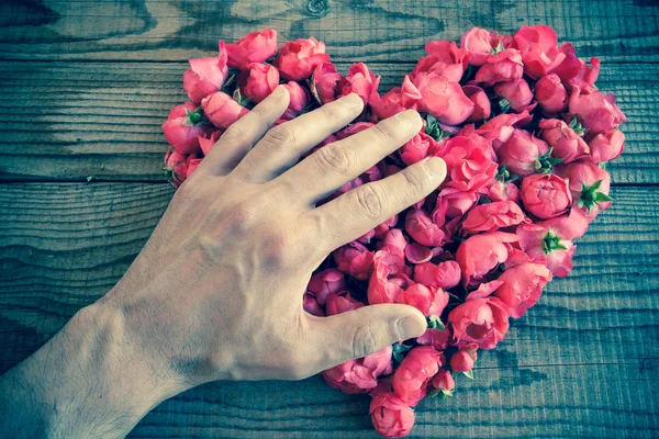 Corazón hecho de rosas rojas en fondo de madera, cubierto por una mano — Foto de Stock