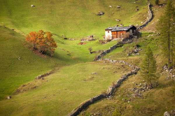 Eine alte Alm im Tal im Herbst — Stockfoto