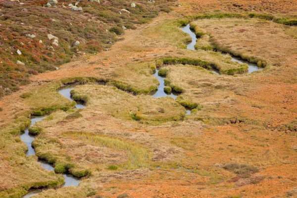 Automne dans les Alpes : petit ruisseau alpin dans les Alpes italiennes ; c'est la fin de l'automne, sans personne autour . — Photo