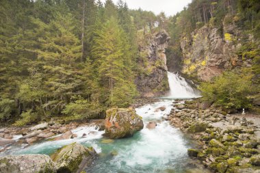 Ormanın içinde oldukça büyük bir şelale