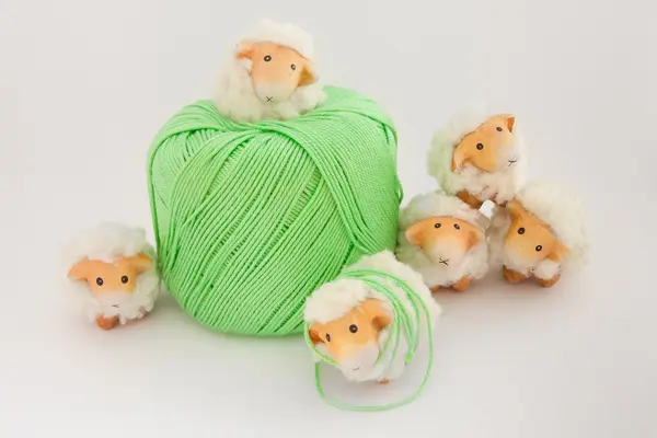 Ovelha bonito jogar em conjunto com uma bola de lã verde — Fotografia de Stock