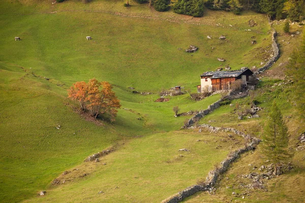 Stary alm w dolinie na jesień — Zdjęcie stockowe