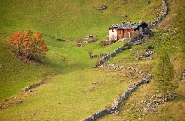 Eine alte Alm im Tal im Herbst — Stockfoto