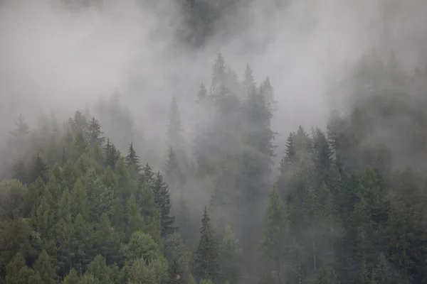 Obłoki płyną wśród lasów — Zdjęcie stockowe