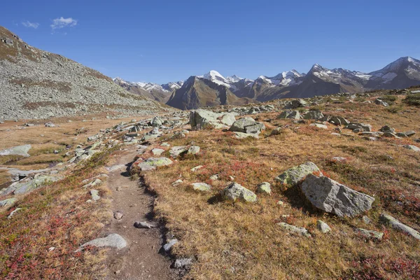 Vallen in de Alpen: lang een pad bewandelen in Ahrntal, Italië — Stockfoto
