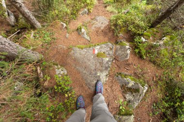 sonbahar ormanın içinde uzun bir dağ yolu yürüyüş