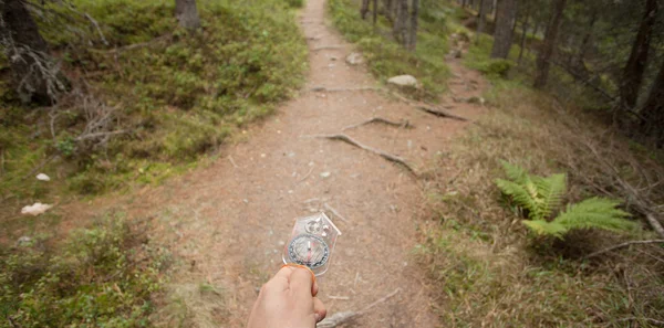 Encontrar a posição certa na floresta com e bússola — Fotografia de Stock