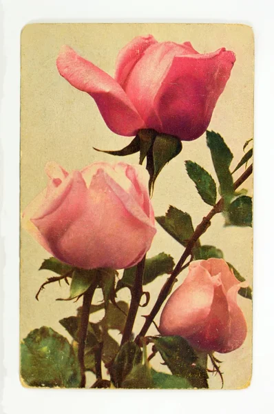 Vintage gratulationskort med blommor Stockbild