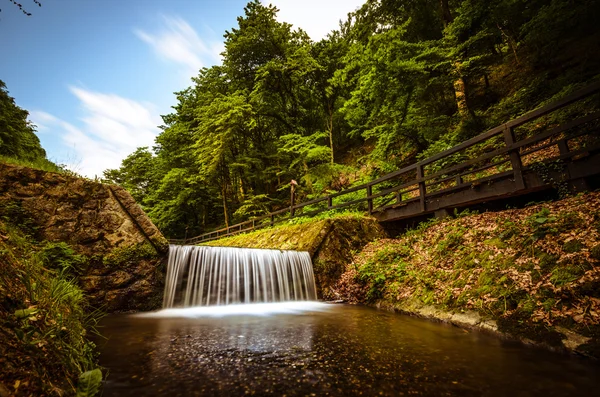 Orman creek Sljeme Zagreb