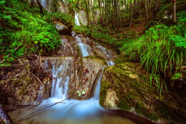 Sopote orman şelale