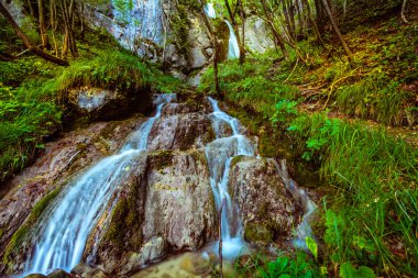 Sopote orman şelale