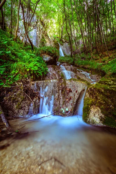 Sopote orman şelale