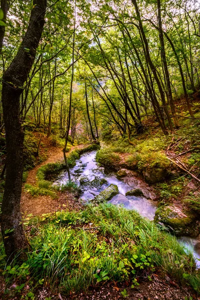 Sopote orman şelale