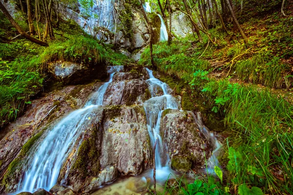 Sopote orman şelale