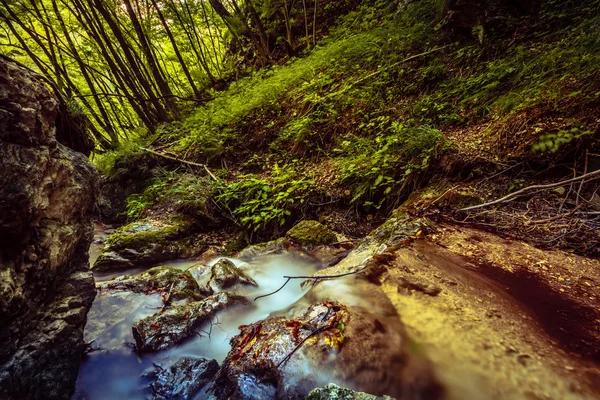 Sopote orman şelale