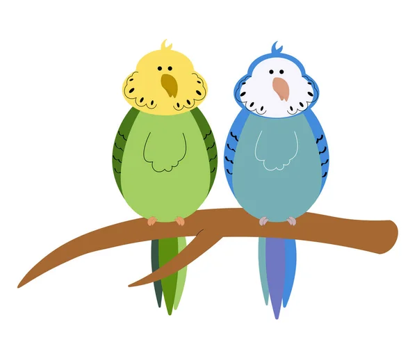 Cute couple of budgies sitting on a branch — Vector de stock