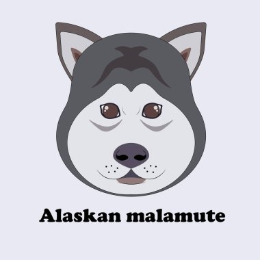 Alaska Malamute 'u. Bir karikatür Husky ile yazdır.