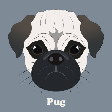 Pug. Geçmişi olan güzel bir köpek ile yazdır