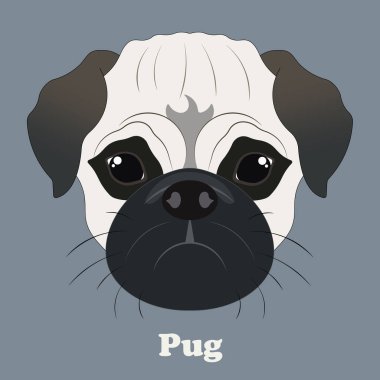 Pug. Geçmişi olan güzel bir köpek ile yazdır