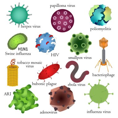 Set of dangerous human viruses. Medical illustration.  clipart
