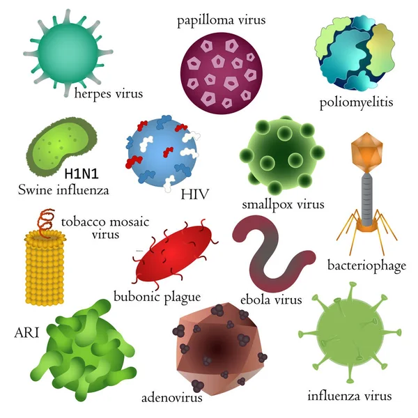 En uppsättning farliga mänskliga virus. Medicinsk illustration. — Stock vektor