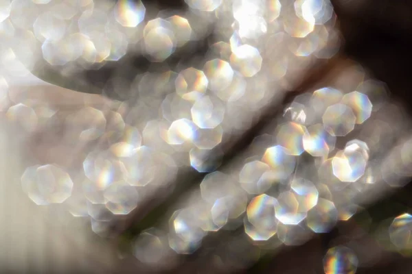 Bulanık parıltı, güzel bokeh. Mükemmel arkaplan, geri.