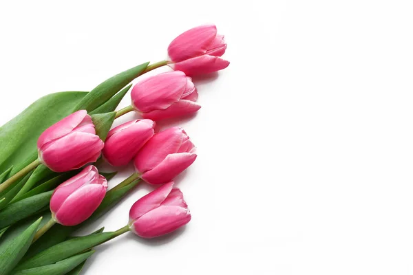 Beyaz arka planda yeni kesilmiş laleler.