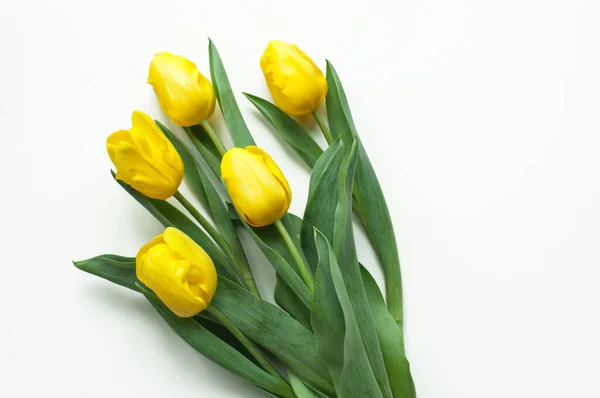 Taze kesilmiş sarı laleler. Yukarıdan görüntüle.