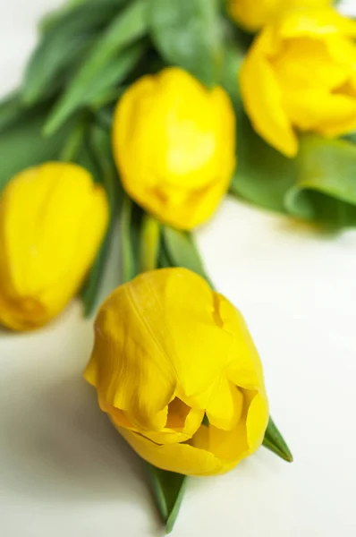 Sarı laleler beyaz bir masanın ön tarafından alındı..