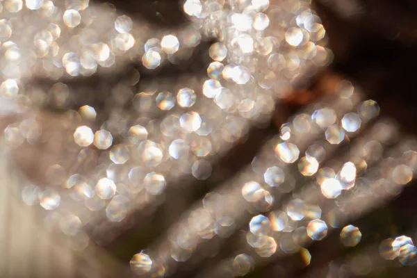 Bulanık, güzel Bokeh. Mükemmel bir geçmiş. Sıcak gölgeler.