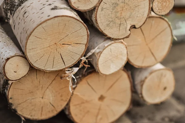 Ağaç gövdesi. Ahşap dokular. Güzel ağaç kabuğu.