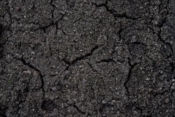 Bitkin, kuru zemin. Koyu gölgeler. Zemin dokusu.