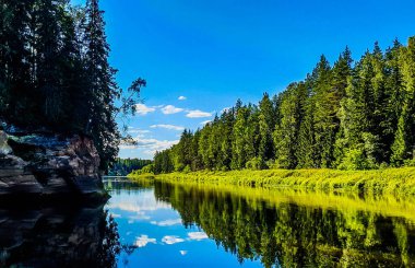 Yaz boyunca nehir suyundaki ağaçların yansıması.. 