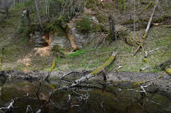 Pequeño Afloramiento Rocoso Una Ladera Forestal Junto Río Forestal Con —  Fotos de Stock